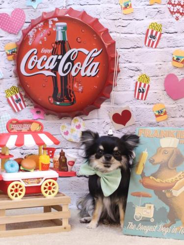 20230909プリンちゃん